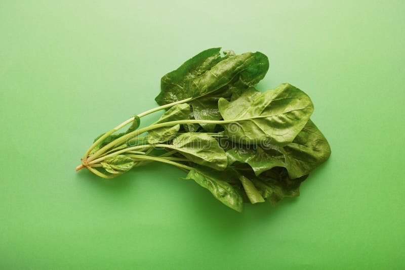 Fresh raw spinach leaves stock image. Image of health 34754829