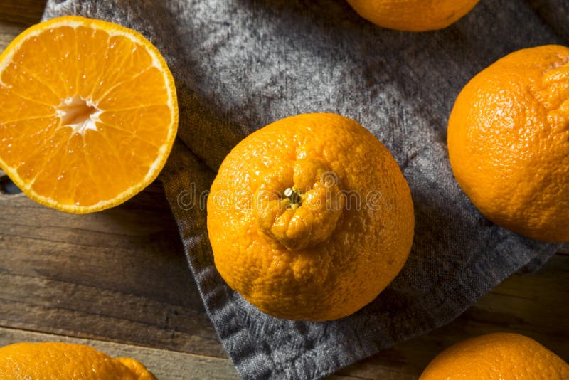 Fresh Raw Sumo Oranges stock image. Image of naval, round 108058337
