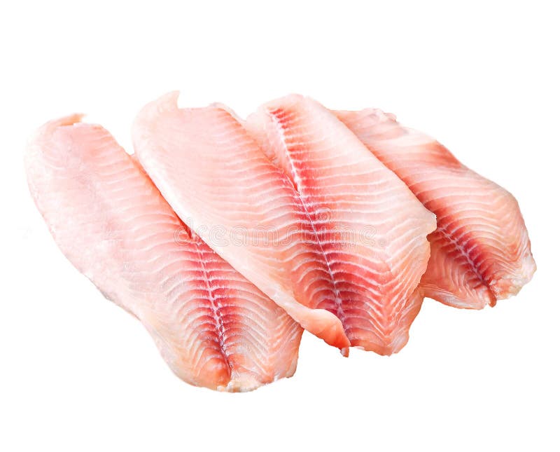 Fresh Raw Tilapia Fish Fillet Isolated on White Background. Stock Photo