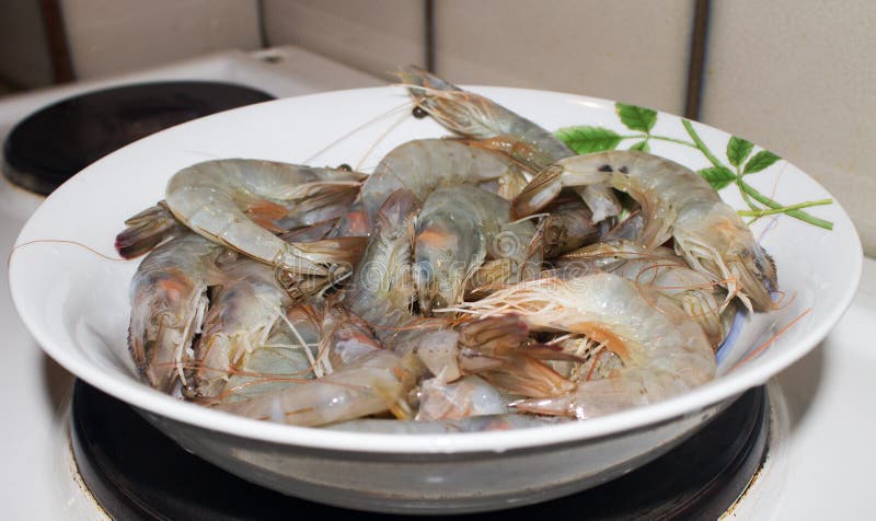 Tiger prowns stock image. Image of arrange, prawn, shell - 28313995