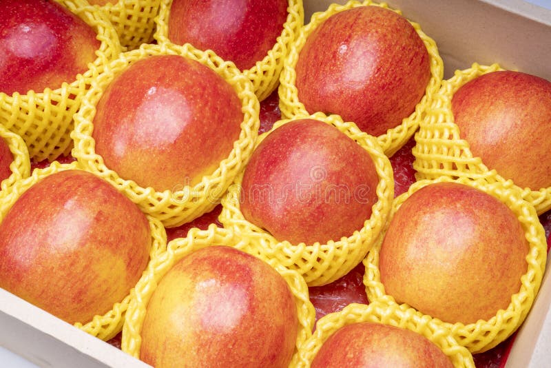 Fresh Red Apple in Packaging Ready To Sell, US. Red Envy Apple in the