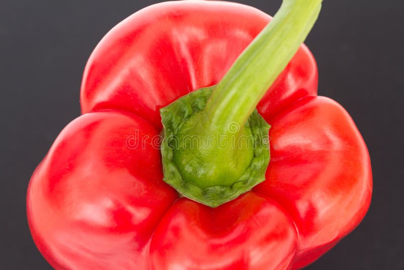 Red Bell Pepper / Sweet Pepper / Capsicum On Black Backg Stock Image