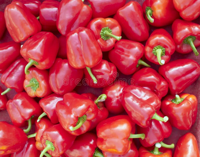 Fresh red bell peppers