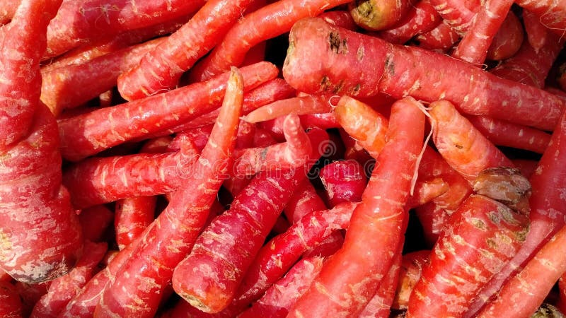 Fresh red carrots beautiful red color stock photos