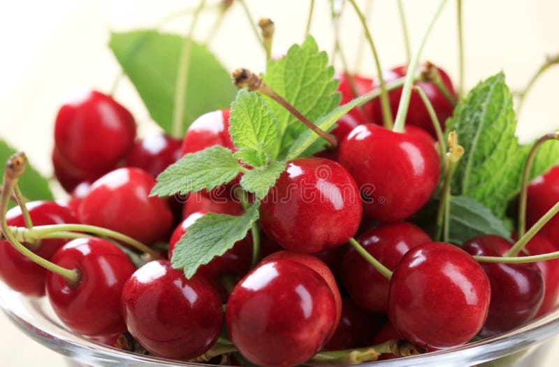 Macro of freshly picked red cherries in a bowl. Macro of freshly picked red cherries in a bowl