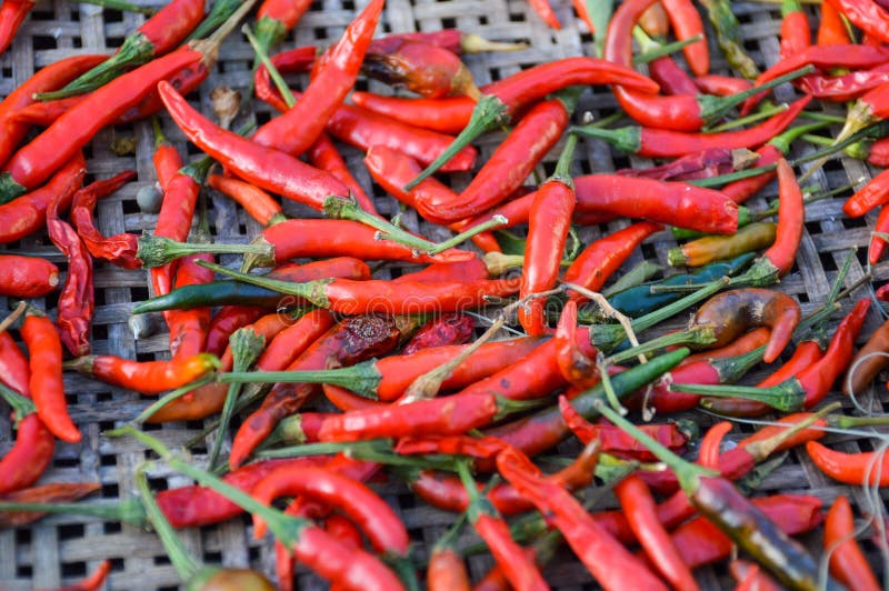 Fresh red chili stock photo. Image of pepper, cayenne 151500126