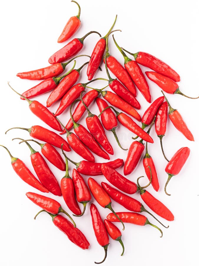 Fresh Red Chili with White Background Stock Image. Stock Photo Image
