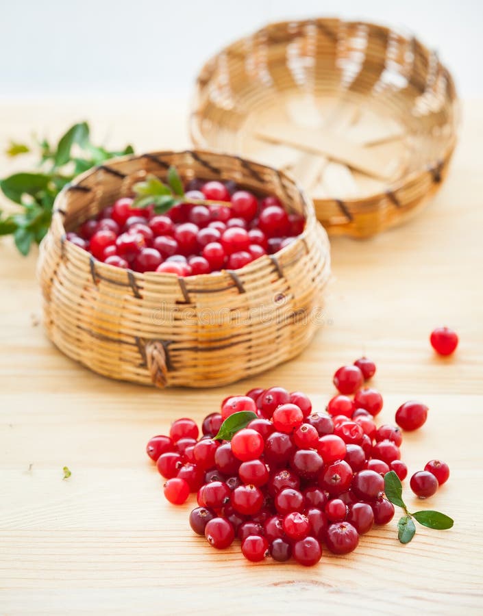 Fresh red cranberries stock photo. Image of fruit, full 23748688