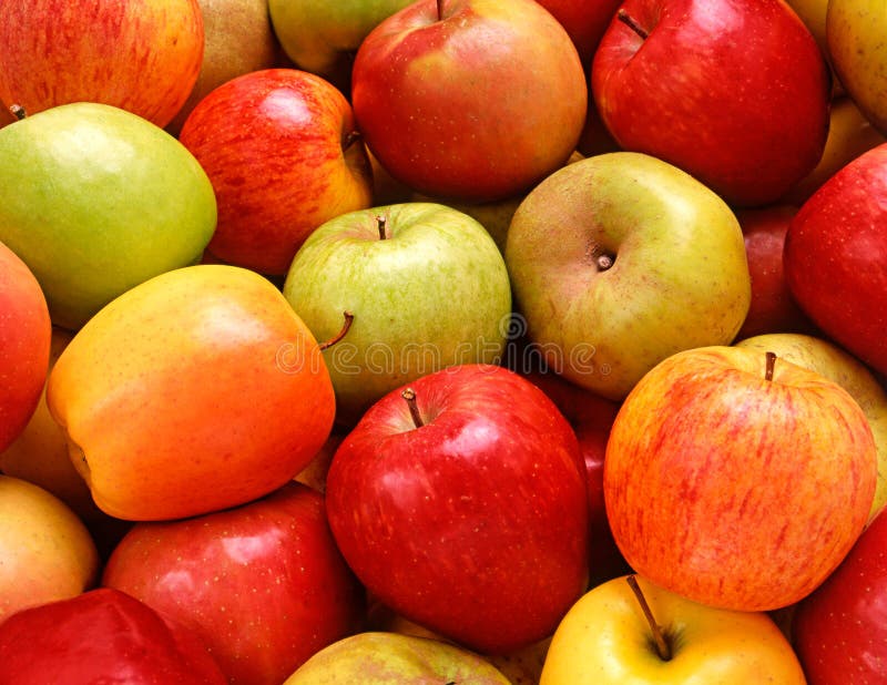 Fresh Red and Golden Apples Stock Photo Image of fruit, fresh 27961810