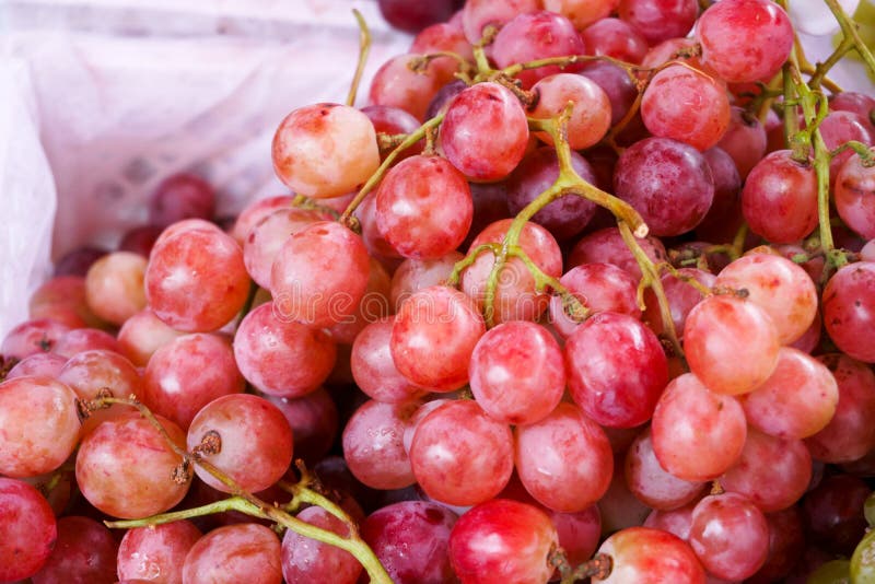 Fresh Red Grapes Fruits at the Maket Stock Photo Image of cluster