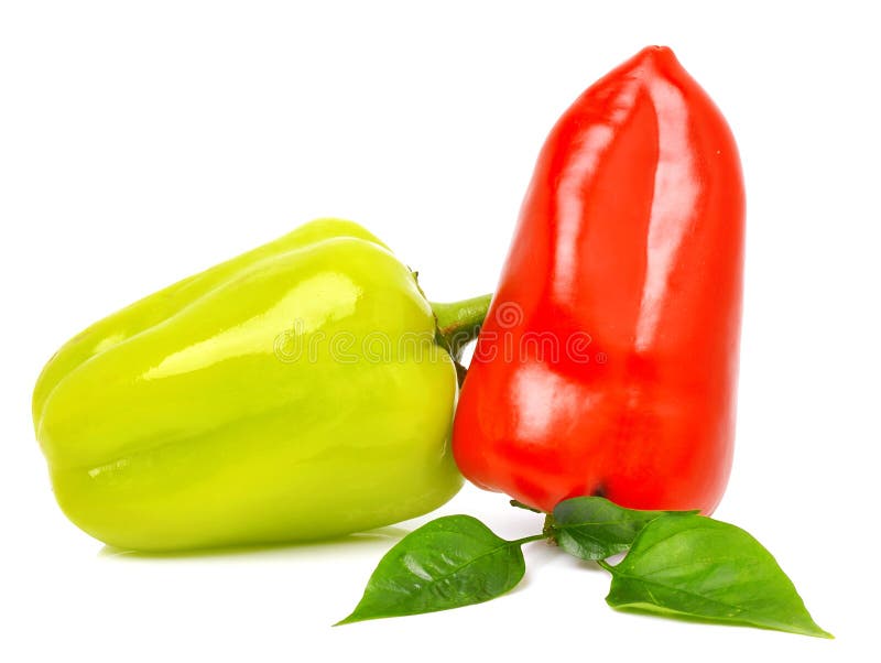 Red and Green Hot Peppers with Leaf Stock Photo Image of leaf, crop