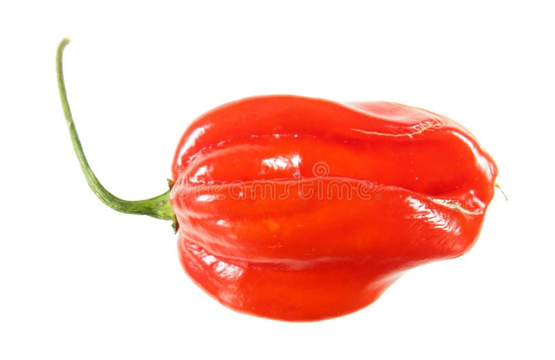 Habanero Hot Pepper Jelly Jar Stock Photo Image of container