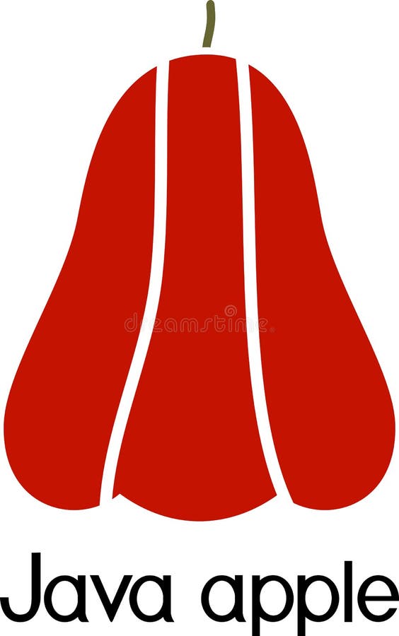 Fresh red java apple wax apple fruit vector illustration