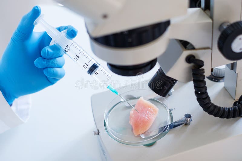 Fresh Meat Sample Quality Control in Laboratory Microscope Stock Photo