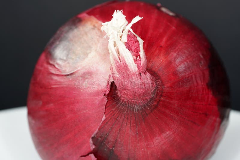 Fresh Red Onion Refines so Many Dishes in the Kitchen Stock Image