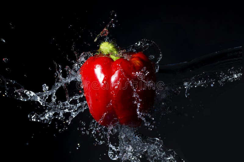 Fresh Red Paprika with Water Splash on Black Stock Image Image of