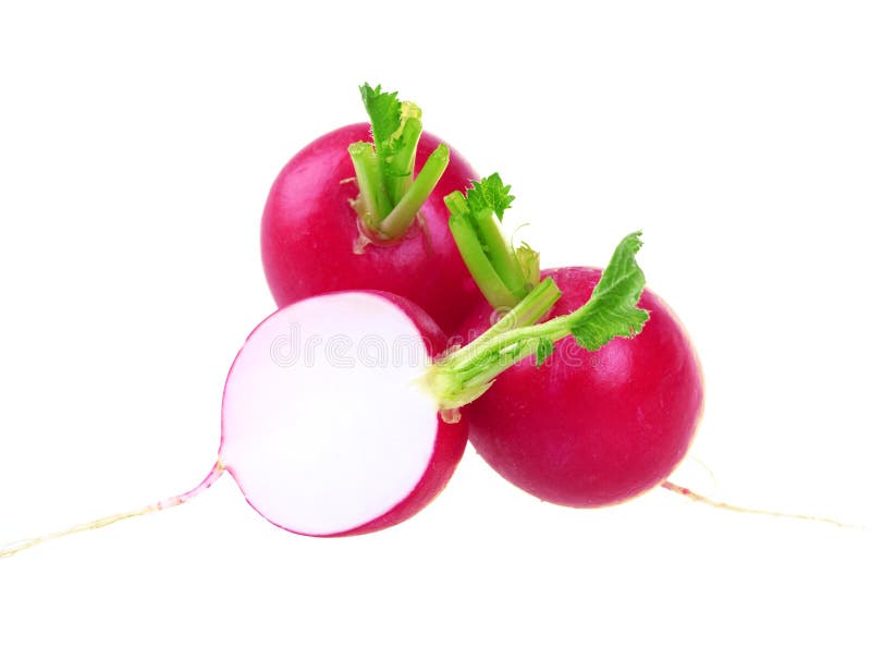 Fresh red radish