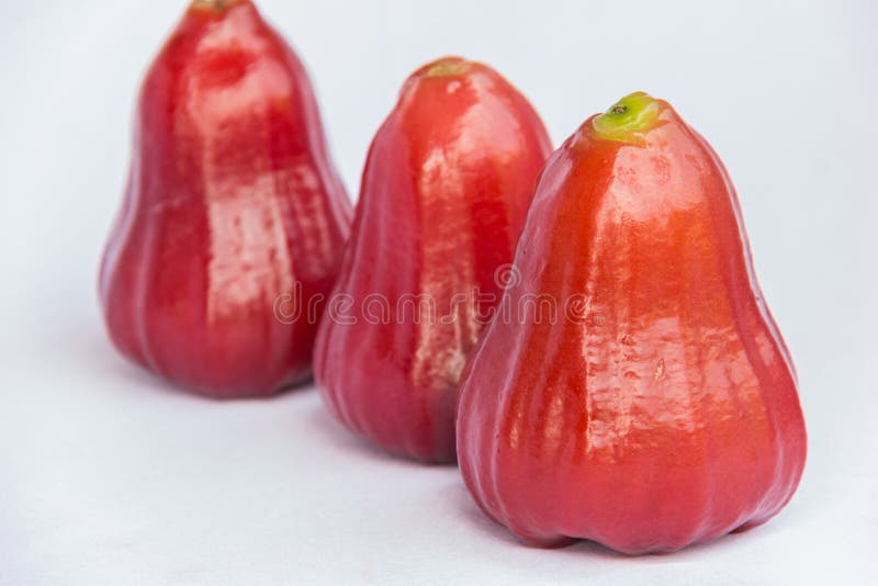 Fresh Red Rose Apple Clean Fruit Stock Photo Image of group, fresh