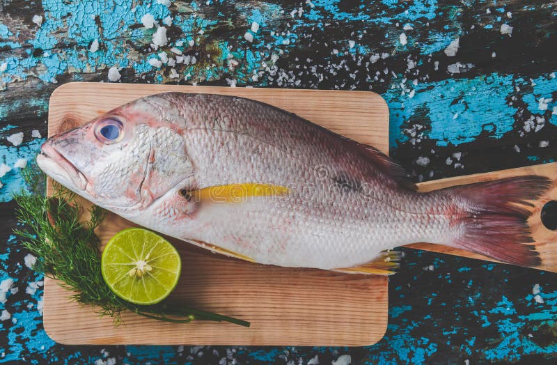 Fresh red snapper sea fish with salt