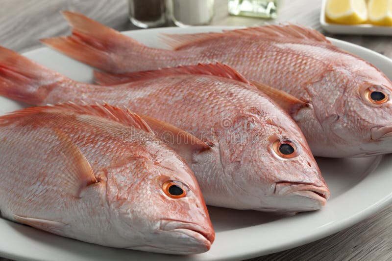 Fresh red snappers stock photo. Image of food, seafish 44593868