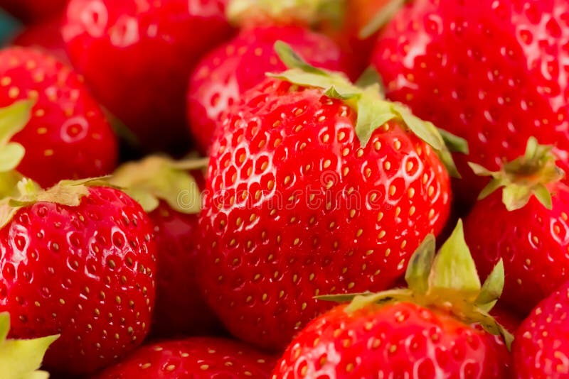 Fresh red strawberries in a pile