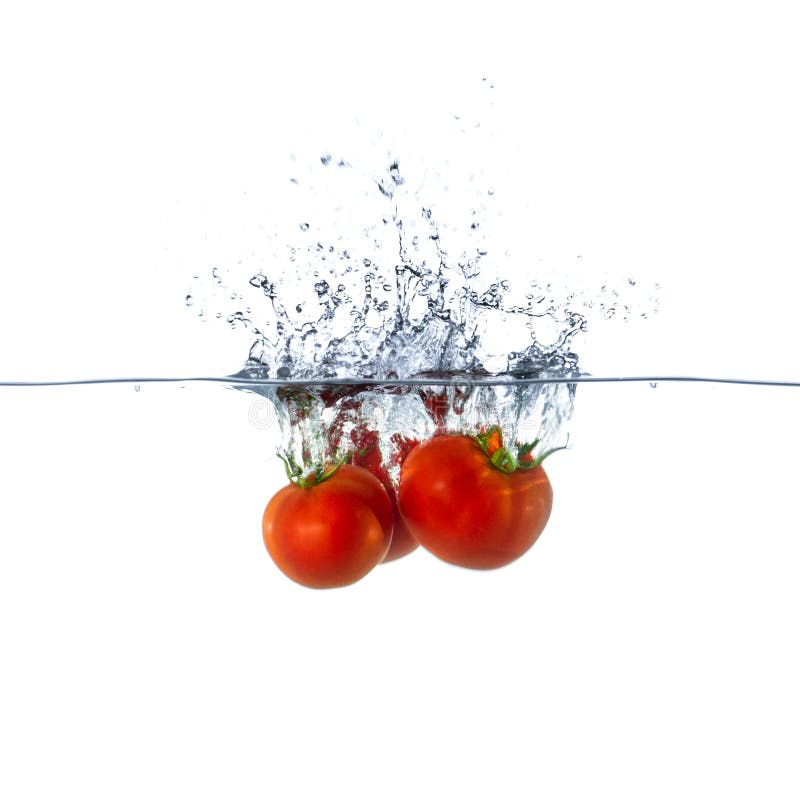 Fresh Red Tomato Fruits Sinking in Water