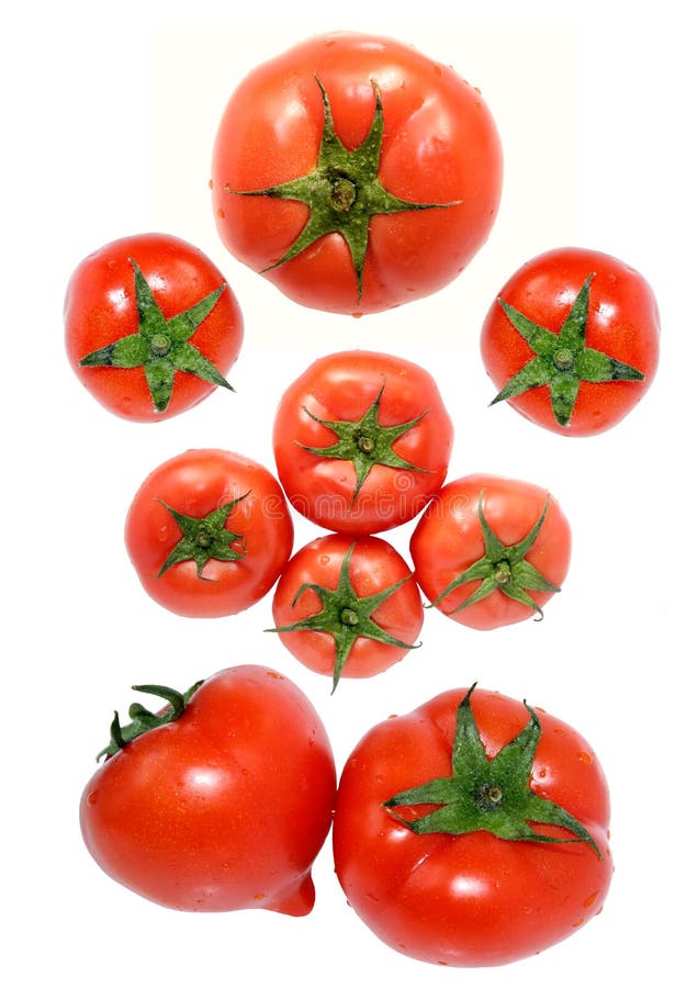 Fresh red tomato on white back