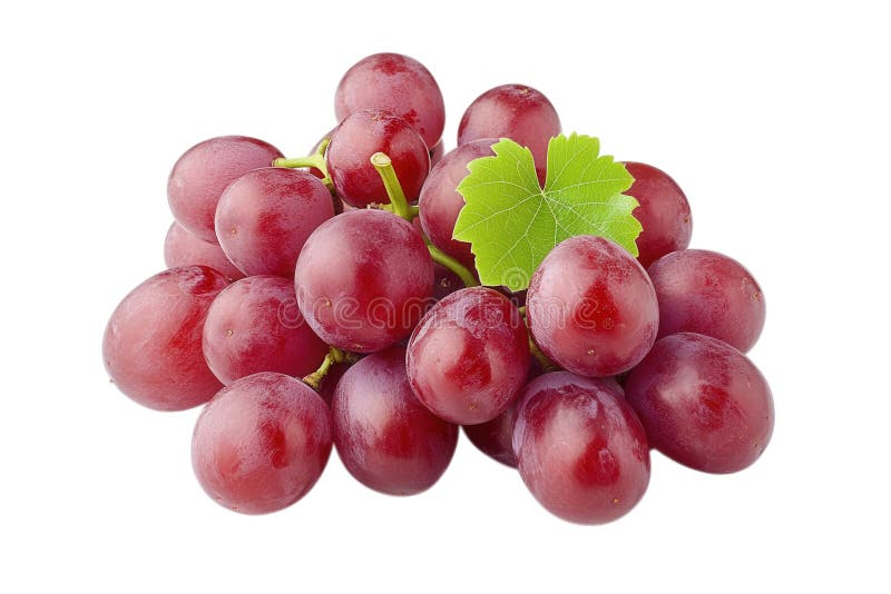Fresh Red Winpes Bunch izolowany na przezroczystym tle ilustracji