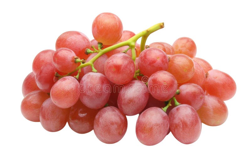 Fresh Red Winpes Bunch izolowany na przezroczystym tle ilustracji