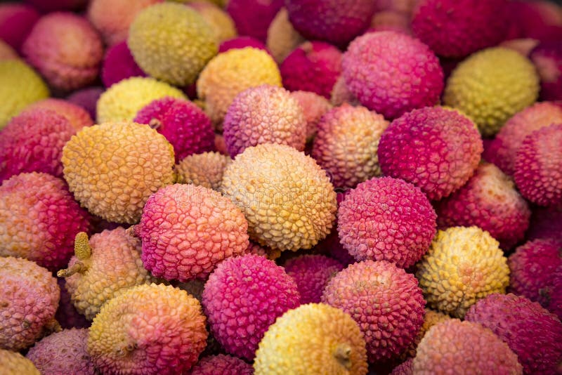 Fresh red and yellow litchi fruits on the market, also known as lichee, lychee, or lichi, Litchi chinensis natural food background stock photography Fresh red and yellow litchi fruits on the market, also known as lichee, lychee, or lichi, Litchi chinensis natural food background stock photography