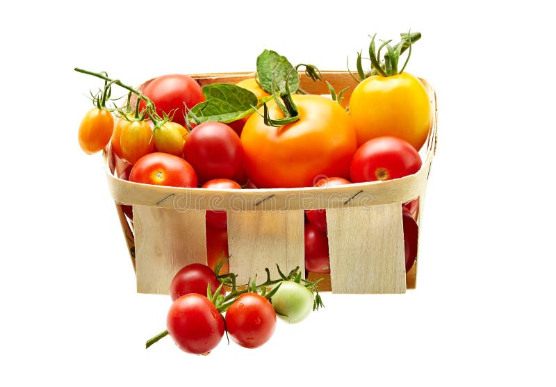 Fresh red and yellow tomatoes on white background isolated