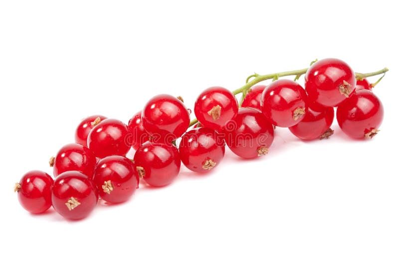 Fresh redcurrant isolated