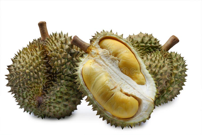 126 Durian Icon Photos - Free u0026 Royalty-Free Stock Photos from 