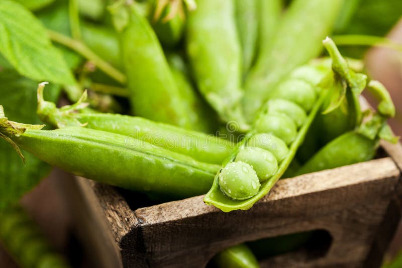 Fresh ripe green peas