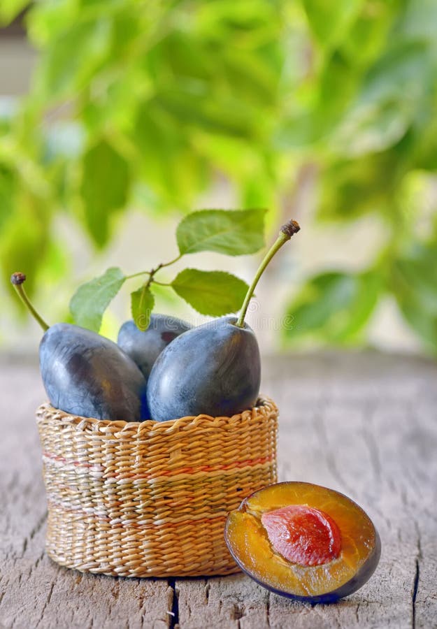 Ripe plums stock image. Image of food, prune, grass, nutrients 59209229