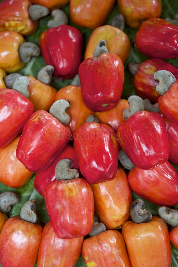 caju fruit caju fruit