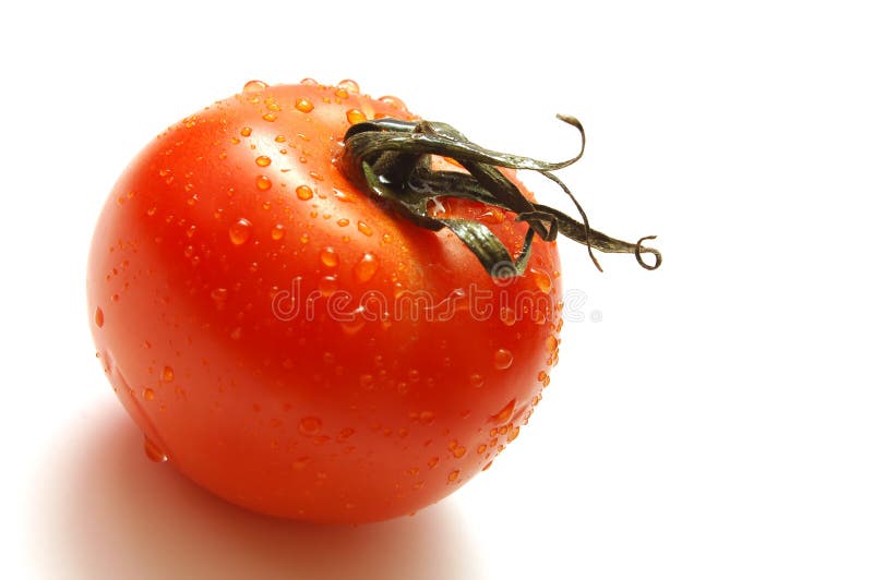 Fresh ripe tomato