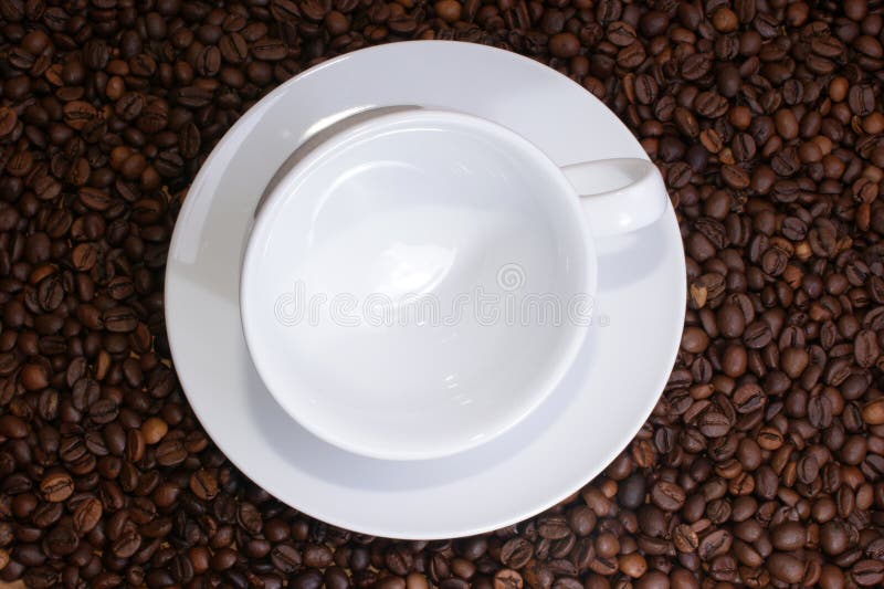 Fresh roasted coffee beans stock image. Image of fresh 14426937