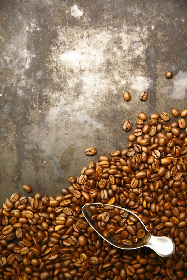 Fresh Roasted Organic Coffee Beans Stock Photo Image of dark, cafe