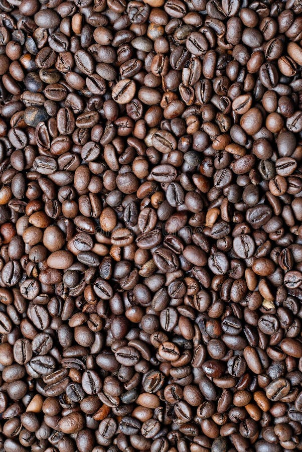 Fresh roasted coffee beans stock image. Image of fresh 4783965