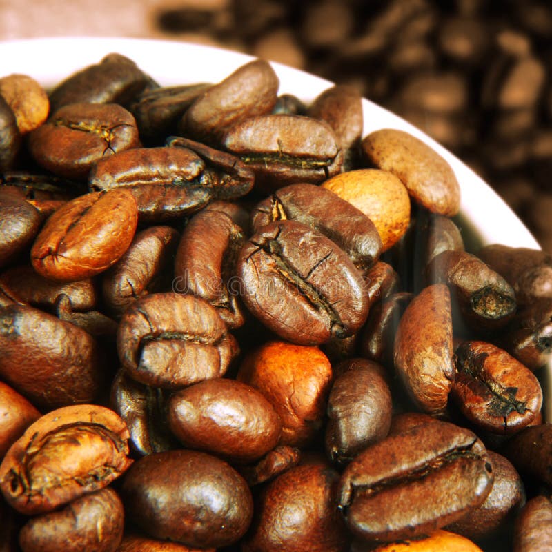Fresh Roasted Organic Coffee Beans Stock Photo Image of dark, cafe