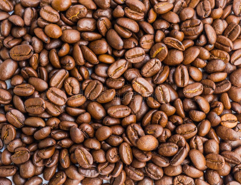 Fresh roasted coffee beans stock image. Image of clean 57826137