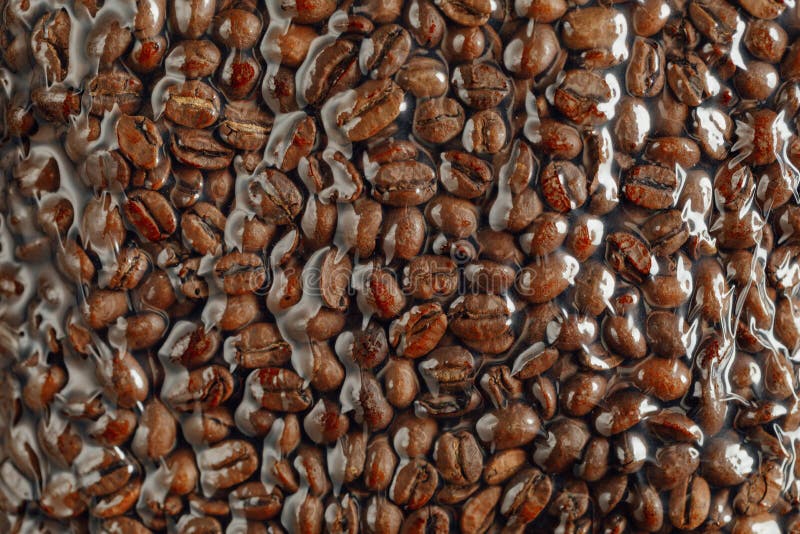Fresh Roasted Coffee Beans Packed in Vacuum Sealed Bag Stock Image