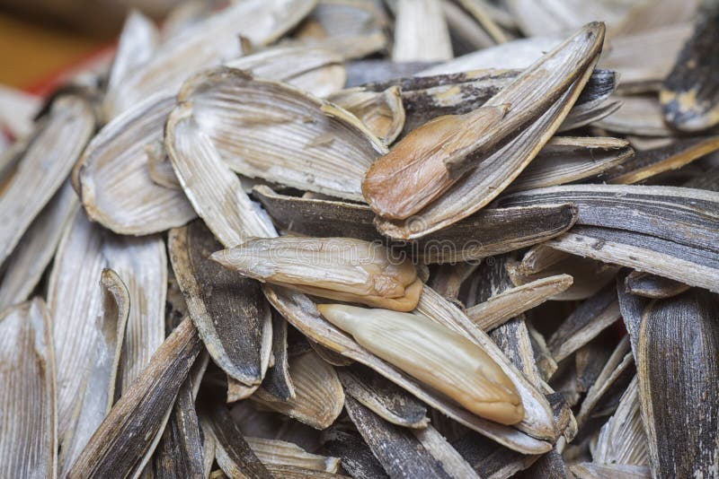 Fresh Roasted Edible Sunflower Seeds Stock Photo Image of nutshell