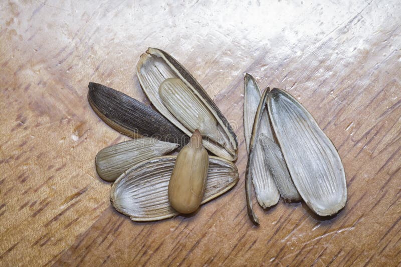 Edible sunflower seeds stock image. Image of eatable 19892593