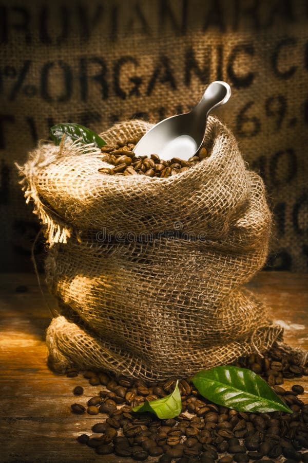 Fresh Roasted Organic Coffee Beans Stock Photo Image of dark, cafe