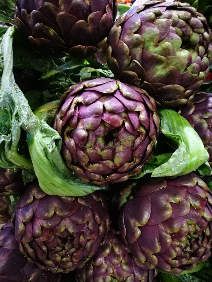Fresh Romaneschi Artichokes Stock Photo Image of close, edible 84022638