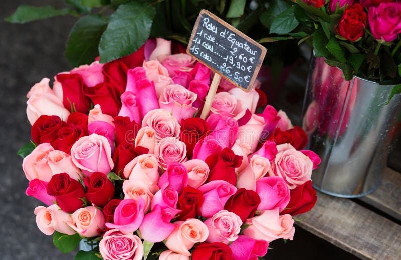 Fresh Roses on a Flower Market Stock Image Image of supermarket