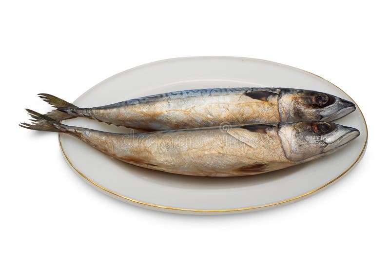 Fresh Saba Fish.clipping Path Stock Image Image of asian, cold 116962157