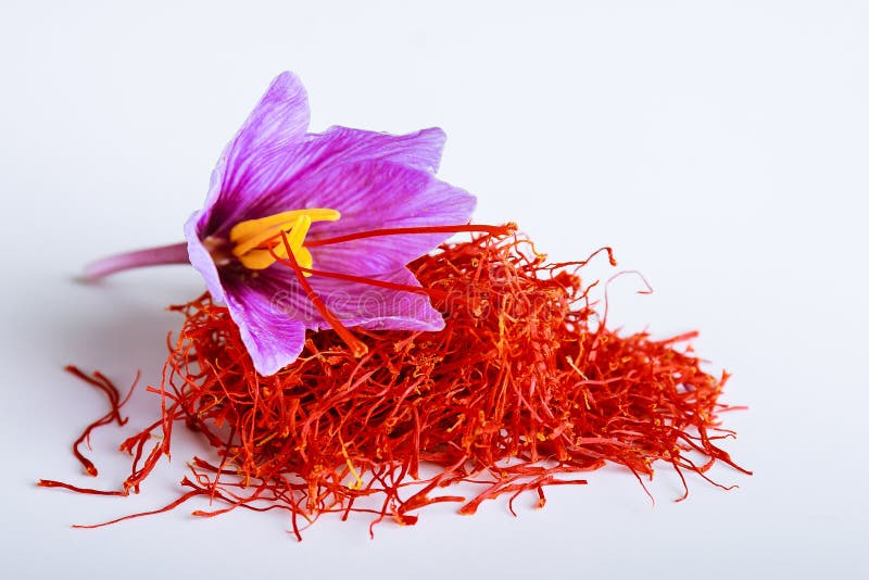 Fresh Saffron Flower on a Background of Dried Saffron on a White Table